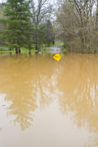 Flood Water - Muskoka Clean Water